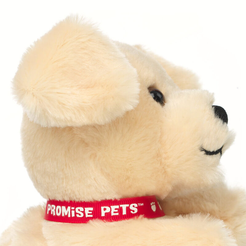 Mini Beans Promise Pets Golden Retriever Stuffed Animal plush by Build-A-Bear